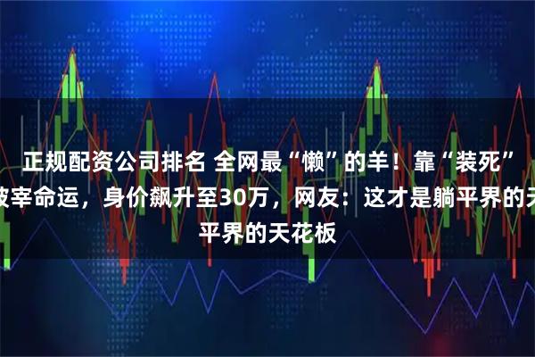 正规配资公司排名 全网最“懒”的羊！靠“装死”躲过被宰命运，身价飙升至30万，网友：这才是躺平界的天花板