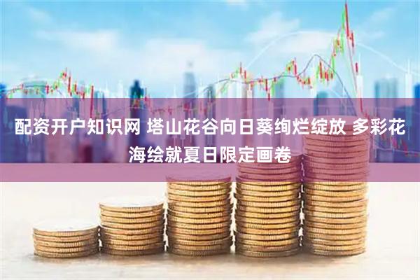 配资开户知识网 塔山花谷向日葵绚烂绽放 多彩花海绘就夏日限定画卷